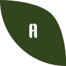 Generational wisdom around food